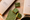 Image to render