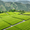 Image to render