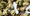 Image to render