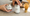 Image to render