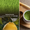 ingrédients thé matcha yuzu