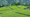 Image to render