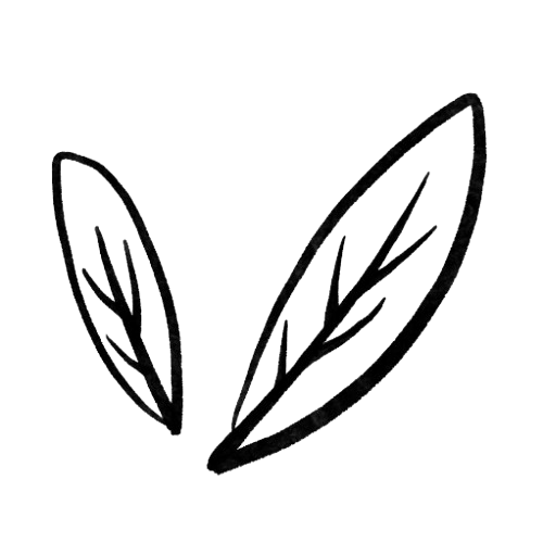 {{ description | strip_html}}